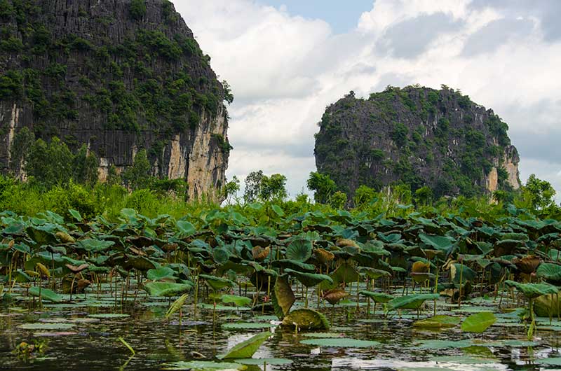 457 - Vietnam - cuevas de Tam Coc - rio Ngo Dong - paisaje